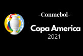 Copa America : le but de Di Maria et la joie des Argentins